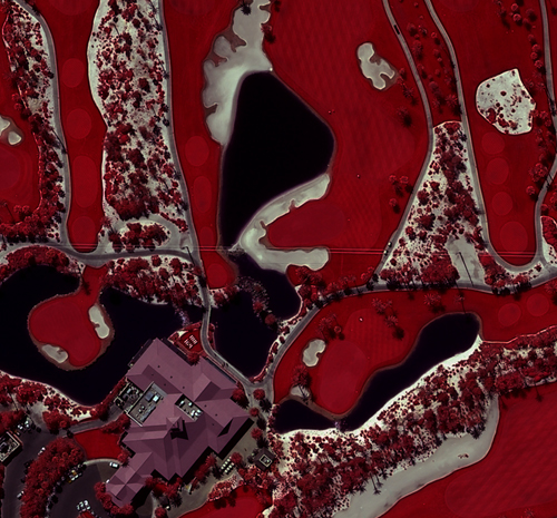 Las Vegas - Color Infra Red - Terra Imaging - 3D Golf Course