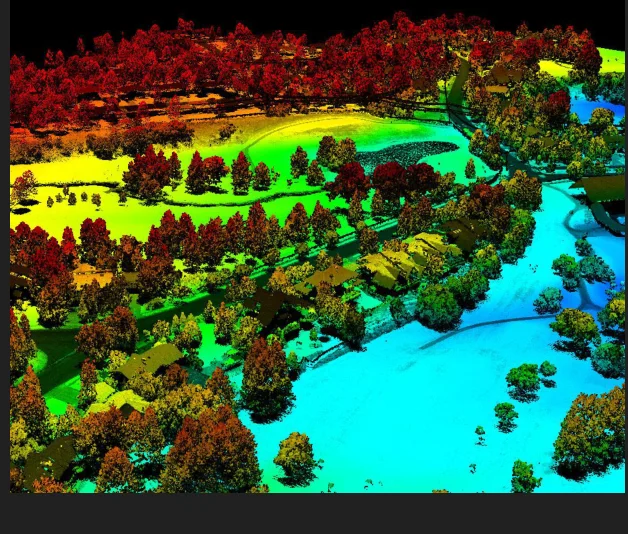 Colorful LiDAR terrain and forest scan